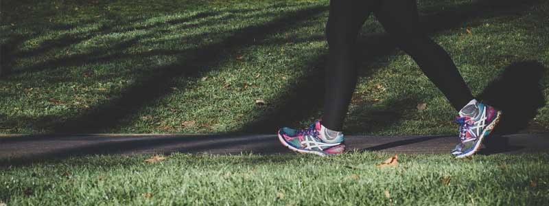 asics nimbus 13 mens